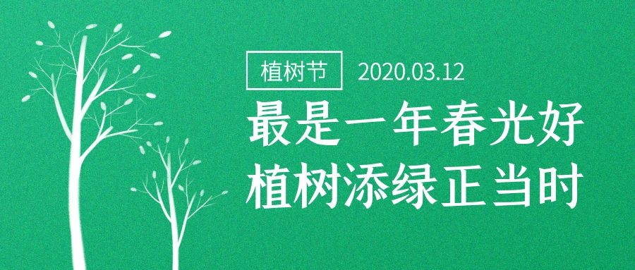 分体式集成灶-集成灶加盟-浙江博净电器有限公司