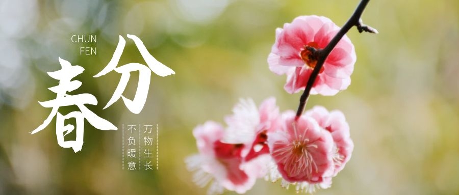 分体式集成灶-集成灶加盟-浙江博净电器有限公司