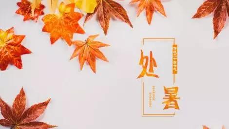分体式集成灶-集成灶加盟-浙江博净电器有限公司