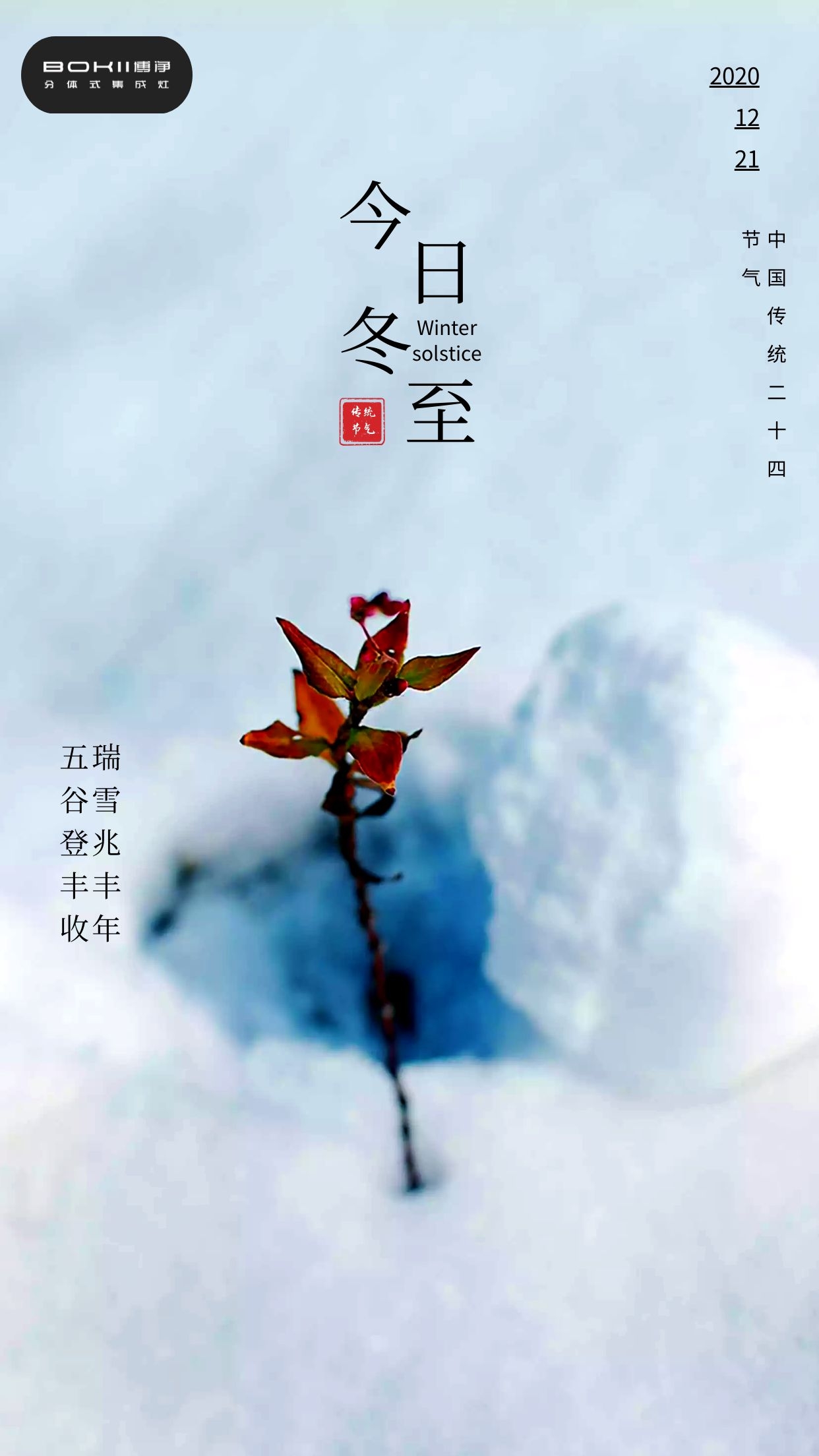 分体式集成灶-集成灶加盟-浙江博净电器有限公司