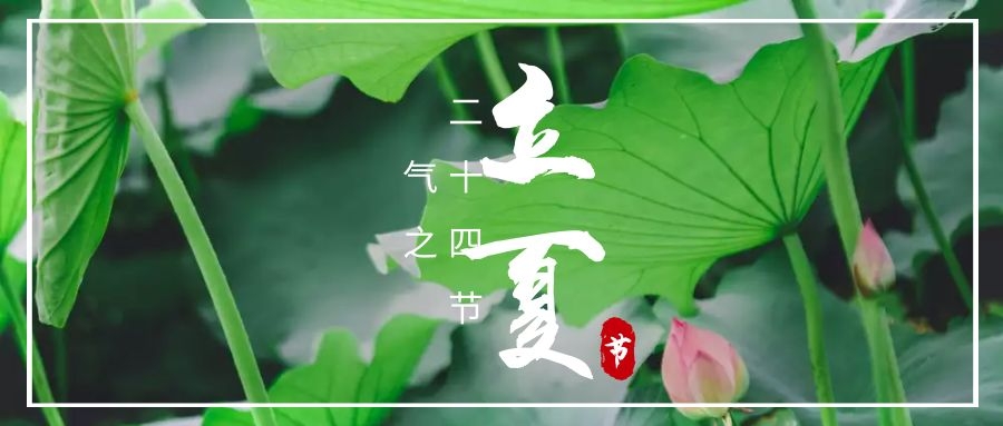 分体式集成灶-集成灶加盟-浙江博净电器有限公司
