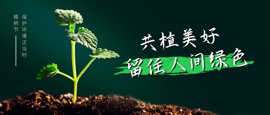 分体式集成灶-集成灶加盟-浙江博净电器有限公司